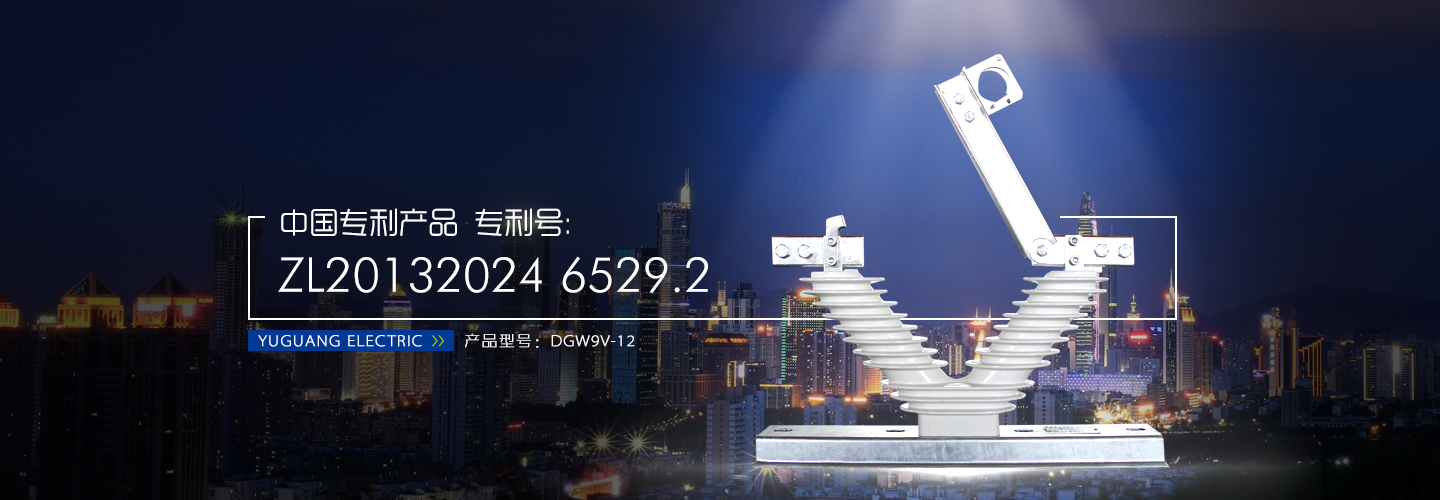 專業(yè)的導演導播攝像團隊